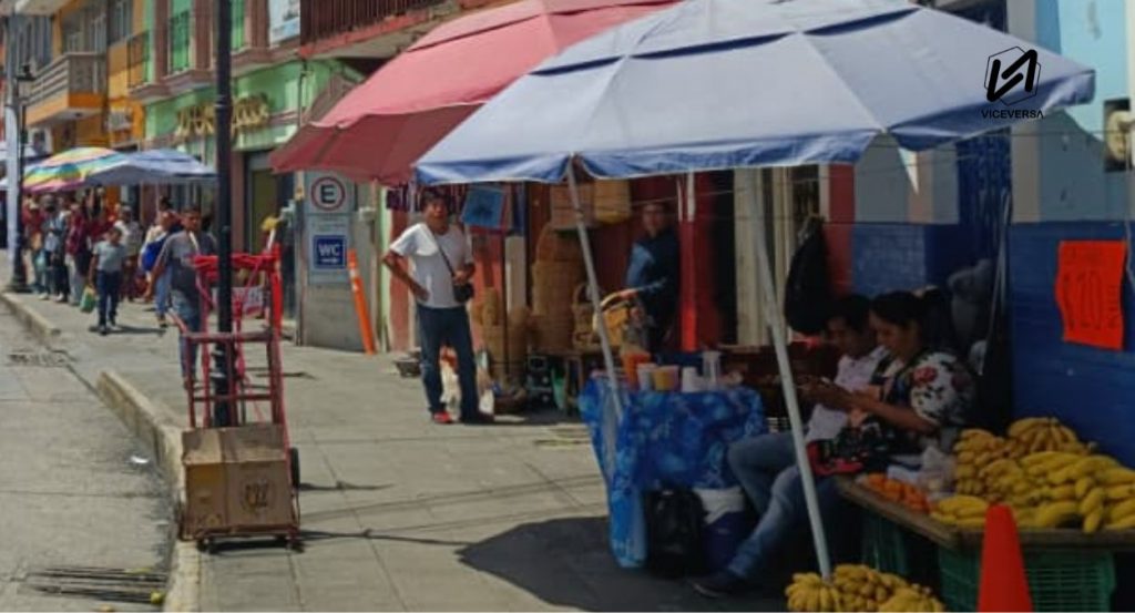 Mujer Rural de Puebla: entre apoyos, educación y burocracia 4 Aunque el programa afirma ofrecer capacitación técnica especializada, esta no siempre se traduce en formación práctica (Visual: Viceversa.News)