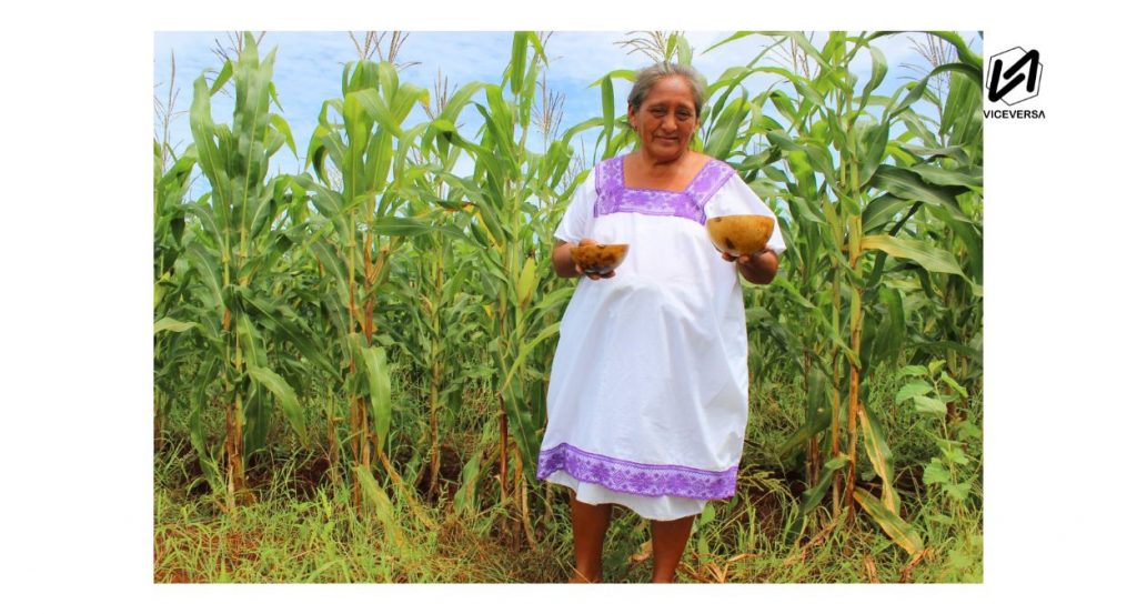 Mujer Rural de Puebla: entre apoyos, educación y burocracia 3 El apoyo ofrecido incluye capacitación y asistencia técnica para la viabilidad técnica, social y económica del emprendimiento. (Visiual: Viceversa.News - Gobierno Federal)