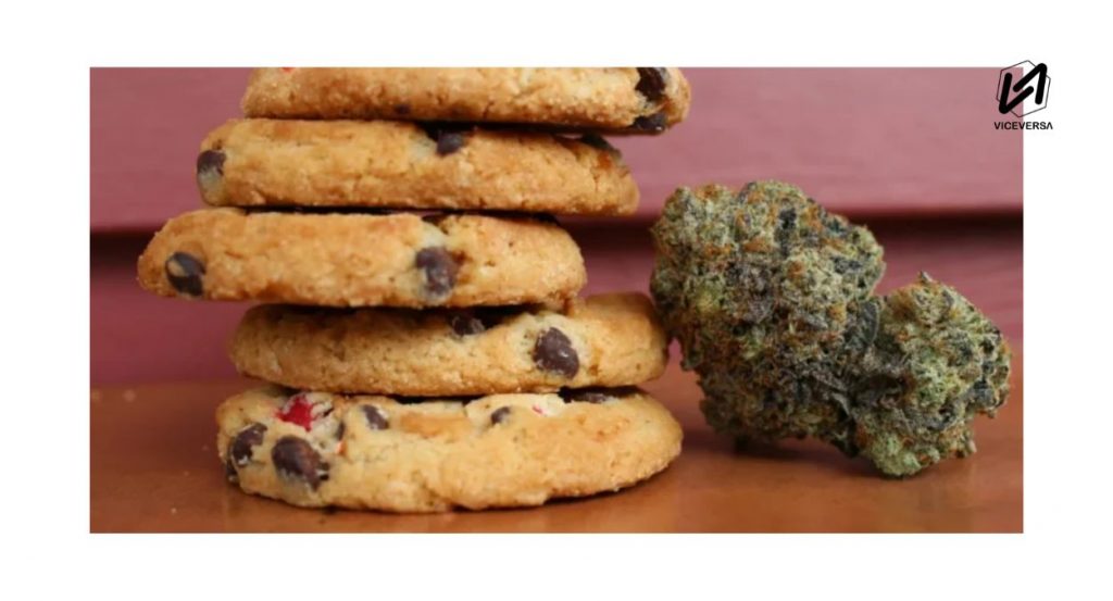 El día que Lázaro Cárdenas legalizó las drogas 6 La Suprema Corte de Justicia de la Nación valida preparación de alimentos con cannabis (Visual: Web - Viceversa.News)