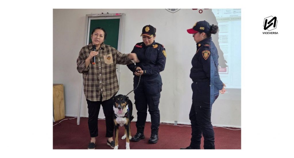 Activistas y Feministas sin atención de CNDH y CDHCM tras quejas 7 Policias PBI y SSC discapacidad activistas y feministas presentan queja ante CDHCM y CNDH (Visuales: MetroCDMX - ViceversaNews)